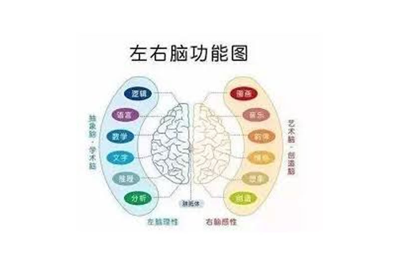 法语己正式列入高中课程，你的孩子右脑不开发